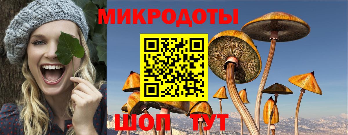 Псилоцибиновые грибы Psilocybine cubensis Асбест