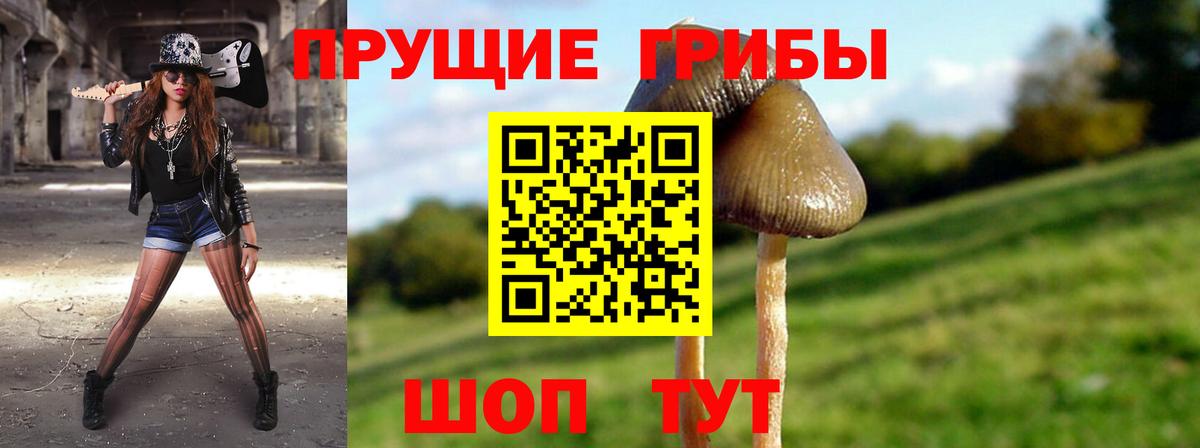 что такое наркотик  Псилоцибиновые грибы прущие грибы  Галлюциногенные грибы мицелий  Вход с VPN  Асбест 